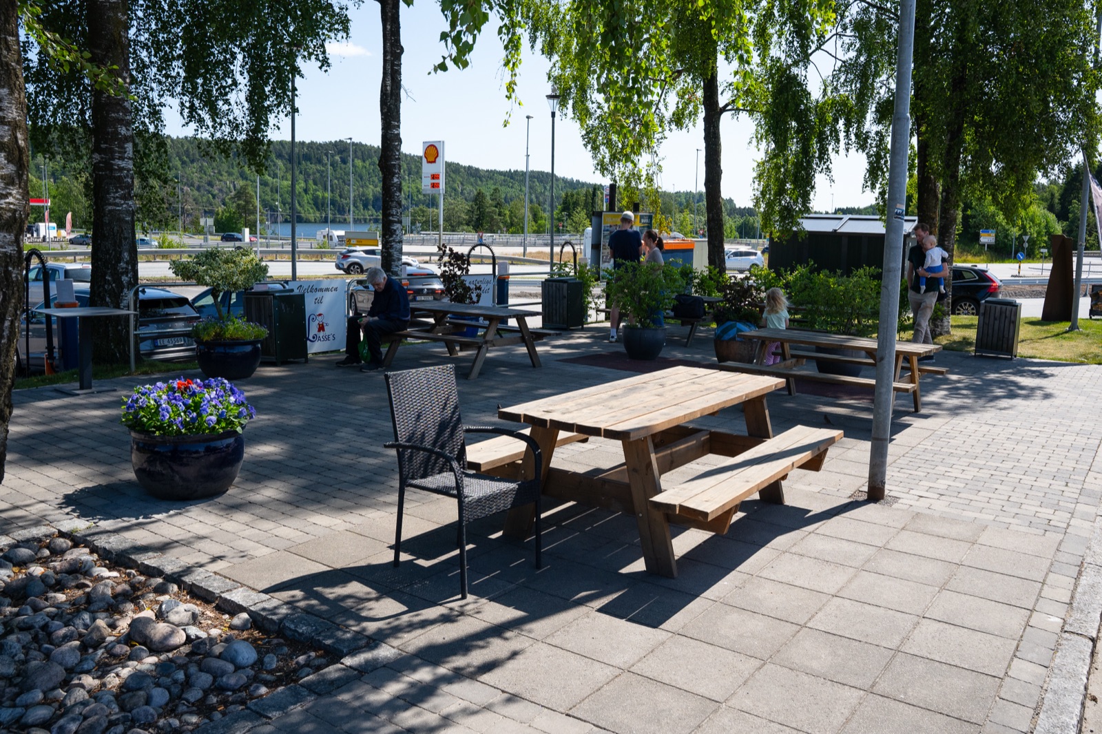 Utendørs sitteplasser under bjørketrær med sommerblomster