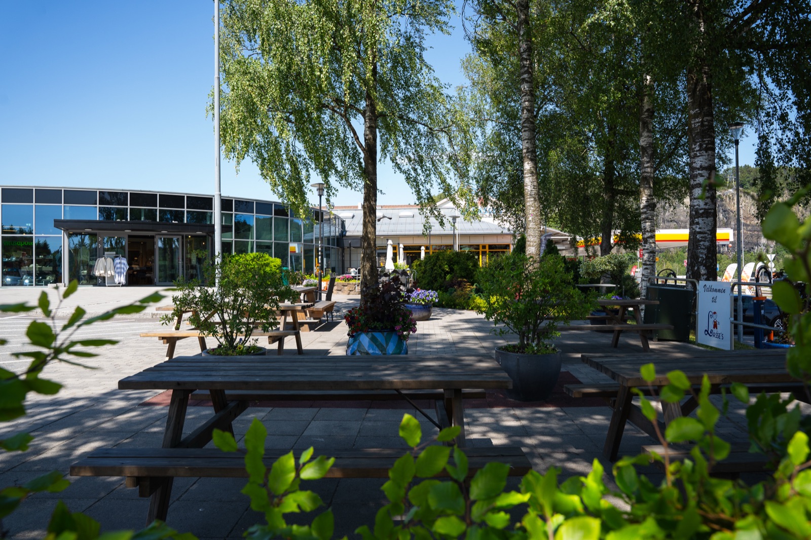 Lasses Senter — idyllisk sommerscene med uteservering under bjørketrær, blomster og glass-bygning